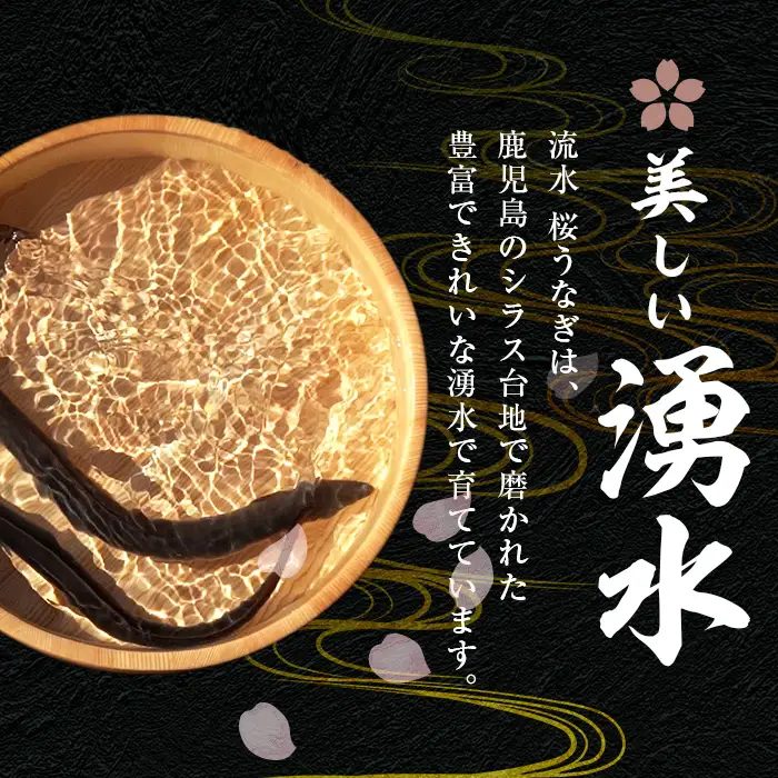 【ふるなびWEEK対象】柳澤 流水桜 うなぎ 蒲焼き 計3尾＜計360g＞ FN-Limited-WE a1-159