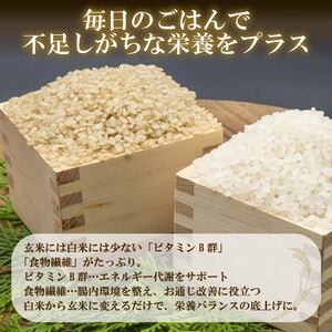 【パックご飯】 定期便3回 玄米 国産こしひかり 無添加一分づき 120g 計24個 パックご飯