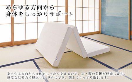 エアウィーヴ スマートZ01 シングル 特別仕様  ｴｱｳｨｰｳﾞ