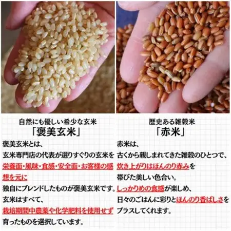 【白米に混ぜて簡単!】国産 赤米ブレンド3.0kg(300g×10袋入り)【1632802】