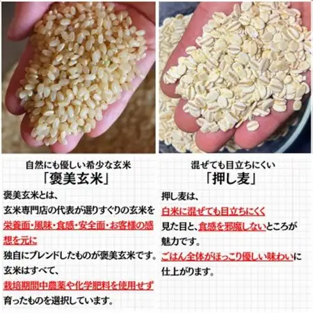 【白米に混ぜて簡単!】国産 押し麦ブレンド3.0kg(300g×10袋入り)【1632805】