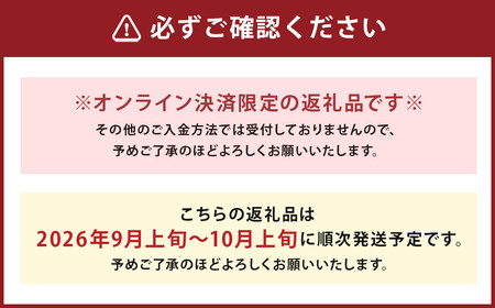 新高梨 5kg 【2026年9月上旬～10月上旬迄発送予定】 梨 なし 和梨 果物 果実 フルーツ 国産 九州 長崎県 長崎市 常温 オンライン決済限定