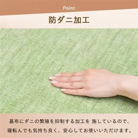 防ダニ カーペット 3畳 日本製 抗菌防臭 ノースポール 江戸間 176×261cm グリーン【1639053】