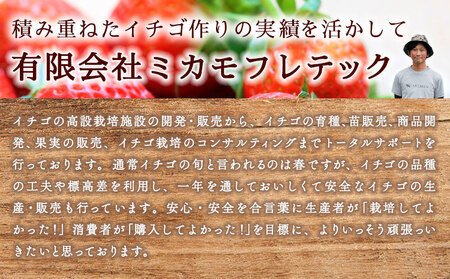 ドライ苺3個セット