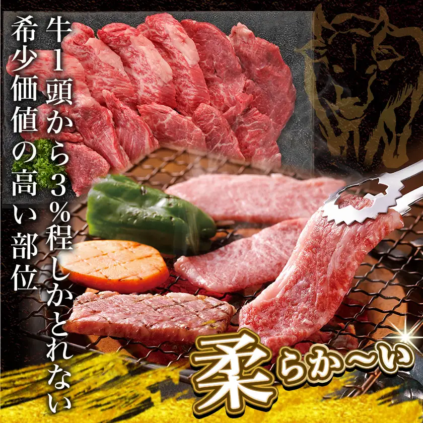 宮崎牛ヒレ焼肉用600g≪みやこんじょ快速便≫〔AF-8902-R〕_(都城市) 宮崎県産宮崎牛 ヒレ焼肉用 焼肉用カット ヒレ肉 冷凍配送