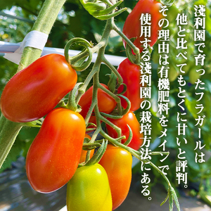 岩手県産 ミニトマト フラガール 1kg 【淺利園】／ 高糖度 トマト とまと 野菜 やさい フレッシュ 新鮮 夏野菜 旬 旬野菜 甘い 美味しい フルーツトマト 1キロ １キロ １kg 楕円 希少 稀少 期間限定 お取り寄せ グルメ 季節限定 夏 産地直送 農家直送 国産 人気 おすすめ