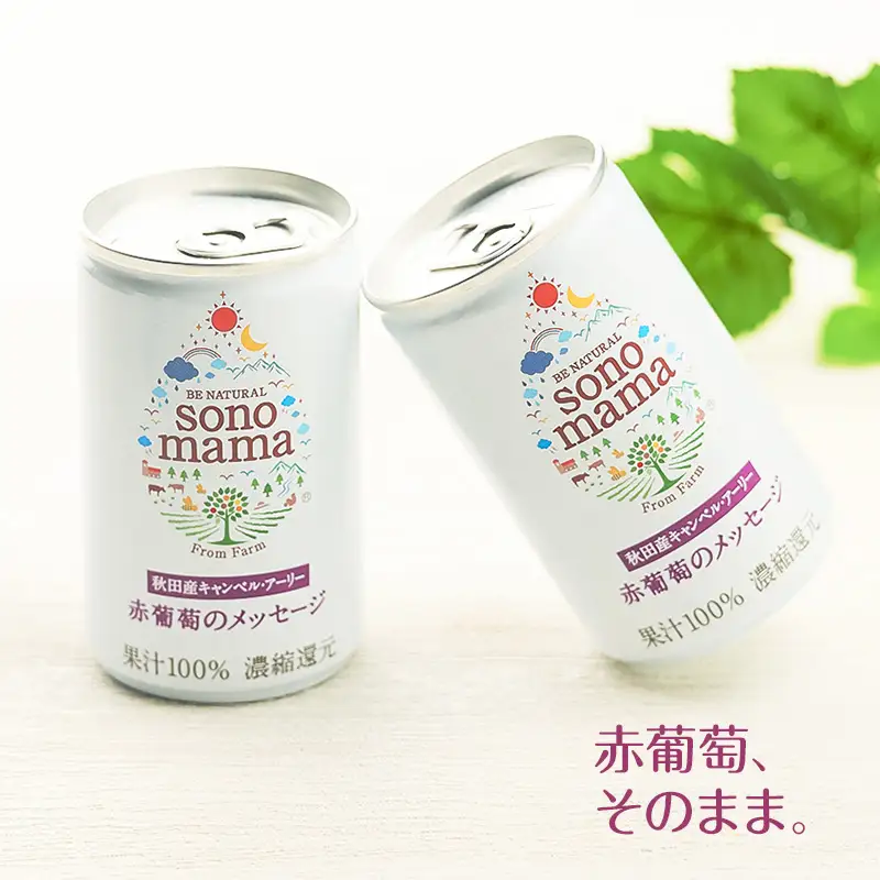 赤葡萄ジュース「sonomama」（160g×20本）×3箱 ぶどう ブドウ ジュース ぶどうジュース 飲料