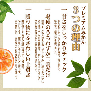 有田みかん 極 プレミアム 2kg (2S～Lサイズ) 光センサー選別 / 温州みかん みかん 甘い 高級 和歌山 柑橘 ※2026年11月下旬～2027年1月上旬頃に順次発送予定 ※北海道・沖縄・離島への配送不可 【nuk004-p-2B】