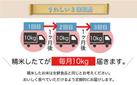 ＜令和7年産米＞ 令和8年7月上旬より発送 真室川町産 はえぬき【無洗米】30kg定期便 (10kg×3回)　◆RR7H3010M-M2607A