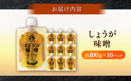 しょうが味噌　約100g×10パック【Japan Ginger 株式会社】 しょうが 国産 高知 調味料 味噌汁 みそ汁 小分け パウチ[ATFD003]