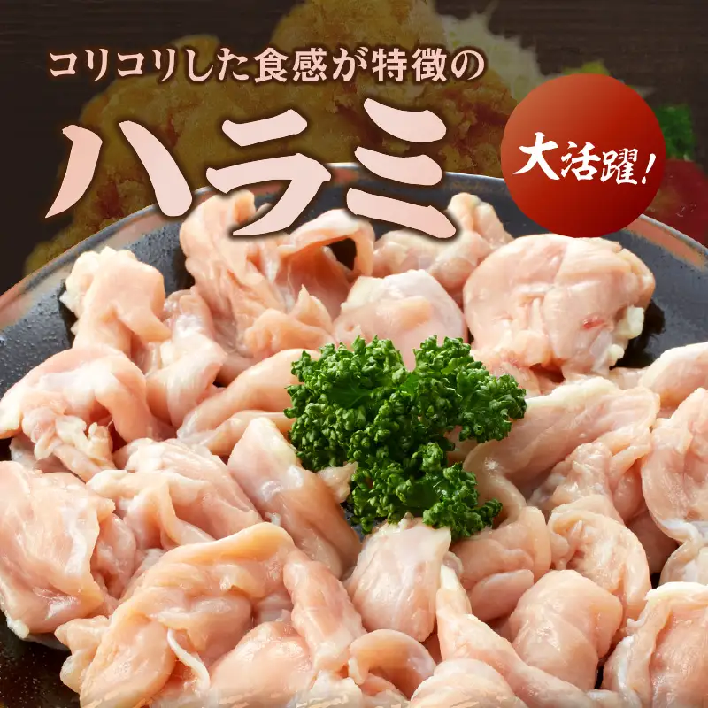 はかた地どり ハラミ 1kg(500g×2)【A-847】