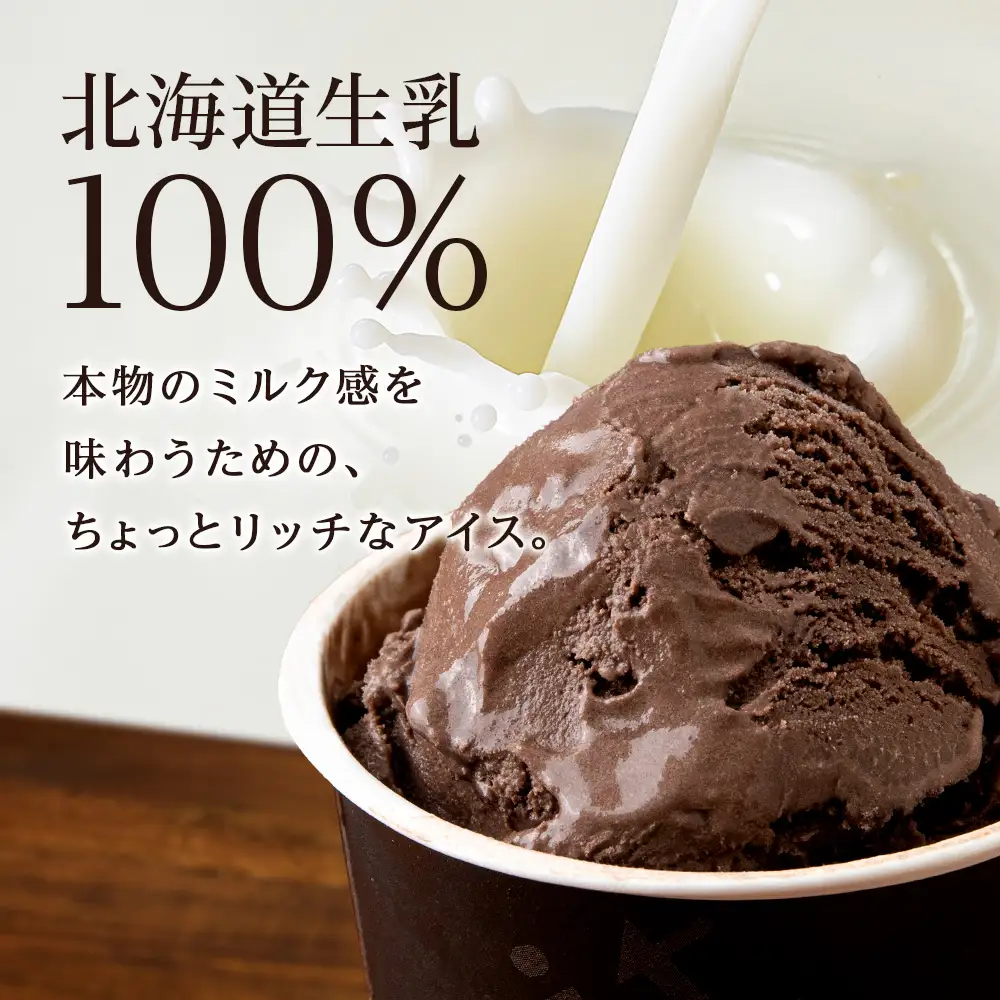 【定期便12ヶ月】リッチアイスクリーム カカオ香るほどよい甘さのチョコレート 8個セット（100ml）