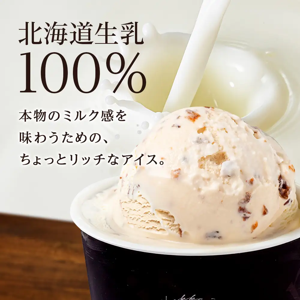 【定期便6ヶ月】リッチアイスクリーム 香り高い魅惑のラムレーズン　10個セット（100ml）