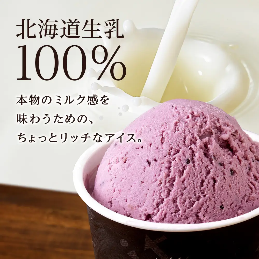 【定期便3ヶ月】リッチアイスクリーム 手摘みカシスとクリームチーズ　8個セット（100ml）
