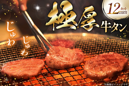 牛タン 極厚 12mm 塩味 約400g×1p 2?3人前 [佐利 宮城県 南三陸町 m304amh580029]