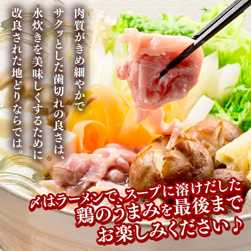 はかた地どり 水炊きセット(2～3人)【Z9-025】