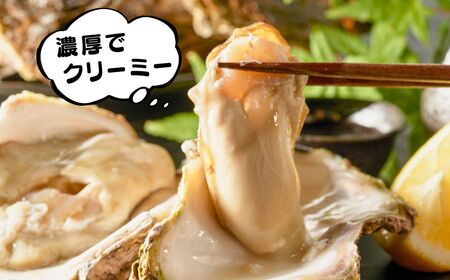 天然岩がき 大サイズ（6～8個） 3Kg 夏季限定！ 安宅産 かき 牡蠣 かき 牡蠣