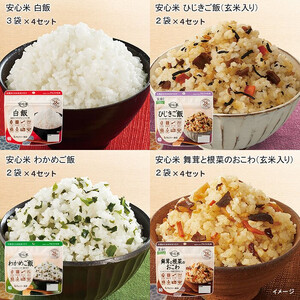 非常食3日家族4人分【安心米9食セット】防災 備蓄 長期/アルファ化米/食物アレルギー対応