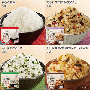 非常食 3日分【安心米9食セット】防災 備蓄 長期保存 アルファ化米/食物アレルギー対応/A４サイズ