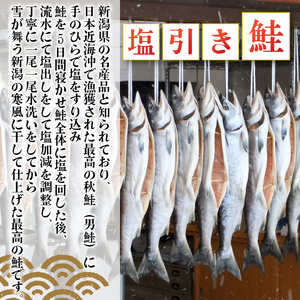 塩引き鮭 切り身 2切 冷凍 個包装 国産 ｻｰﾓﾝ さかな 海産物 食品 小分け 真空パック 惣菜 お酒のあて 塩引き 鮭 半身 切り身 贈答 ギフト 母の日 佐々木食品 新潟 新発田 魚介 sasaki004_01