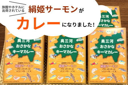 お試し★ 絹姫サーモン 奥三河おさかなキーマカレー 1個 レトルトカレー 魚 サーモン 鮭 非常食 キーマカレー ネコポス -213