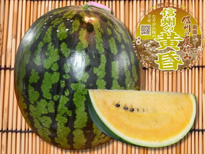 【先行受付】信州波田産 甘いスイカ！ 信州の黄昏 ( 金色羅皇 ) 【特上】 4L～5Lサイズ 1玉