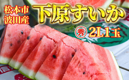 【先行受付】スイカ 下原すいか 信州松本波田産 2L ( 7kg ～ 8kg ) × 1玉 