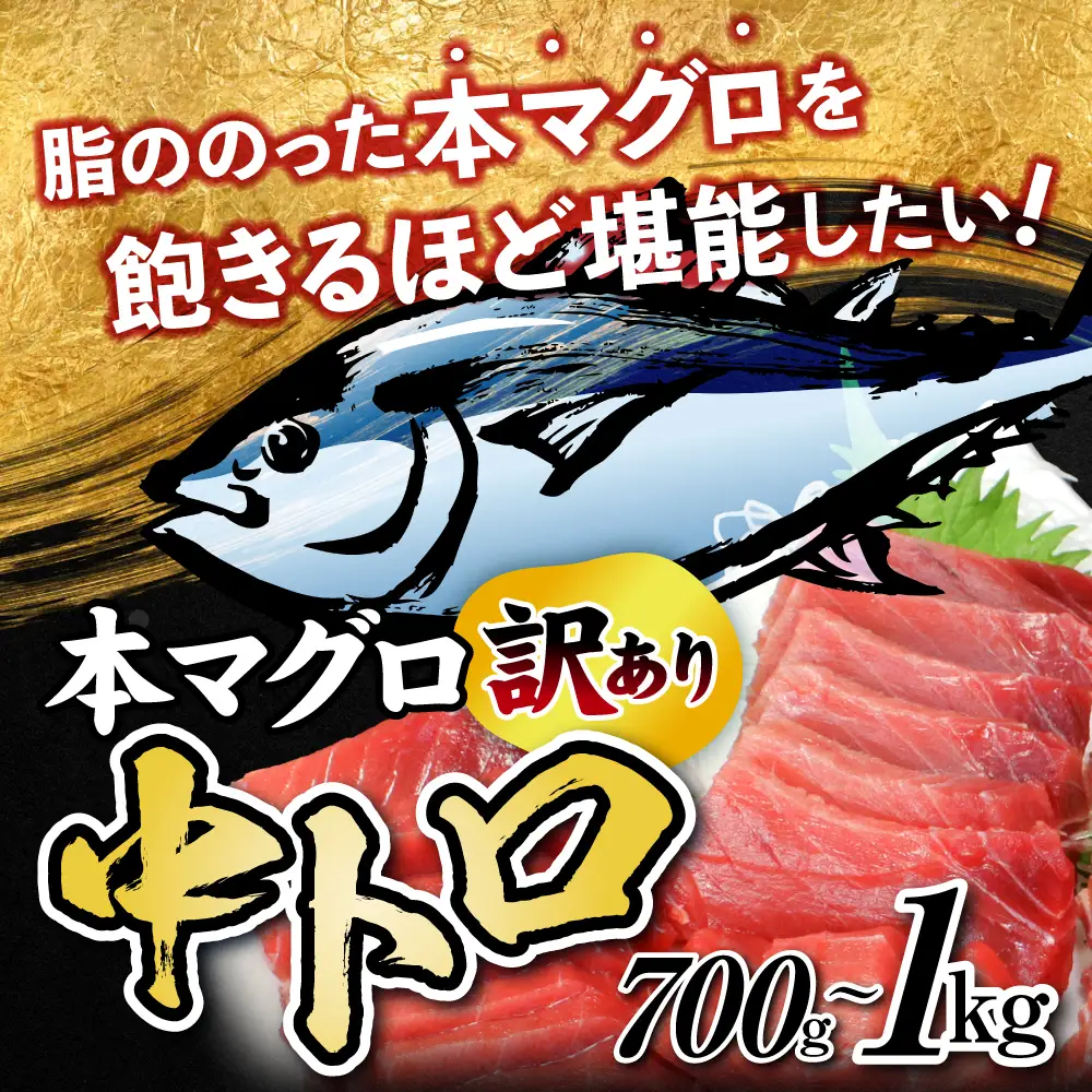 【定期便/計3回】訳あり 本マグロ(6-8人前) 