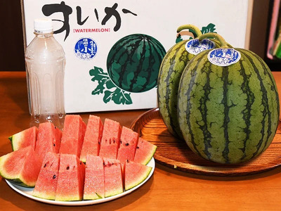 【先行受付】信州波田産 小玉スイカ ！信州の小粋 【特選】 2玉 2Sサイズ