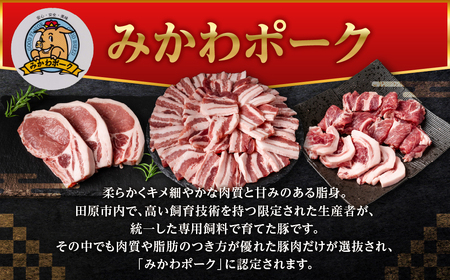 みかわポーク 肩ロース肉 焼肉用 1kg 豚肉 ロース ステーキ トンテキ 豚テキ 豚 ぶた ポーク 冷凍 真空 真空パック 小分け 焼肉 焼き肉 豚汁 煮物 BBQ 渥美半島 愛知県 田原市