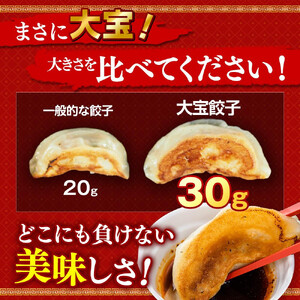 全て国産食材、銘柄豚使用！肉汁あふれる！【横浜大宝餃子】もちもち国産ジャンボ大宝餃子120個（30個×4）老舗餃子メーカー 横浜中華 焼餃子 冷凍餃子 ギョーザ ぎょうざ 大きい 中華 おかず 惣菜 ギフト プレゼント AKN0005