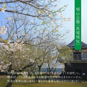 【宮崎県木城町】寄付のみの応援受付(返礼品はございません) 10000円_ K00_0007