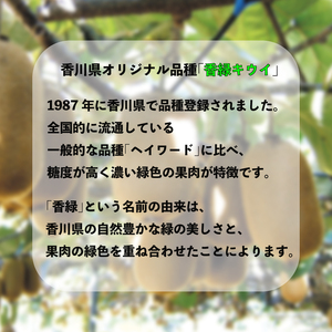 濃厚な甘み！ 香緑 キウイ 約1kg 香緑 キウイ フルーツ 果物【goshiki018】