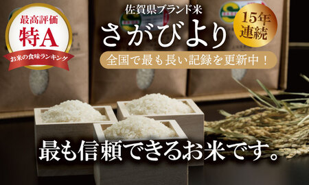 R７年度産（令和７年）特別栽培米 佐賀ブランド 米「 さがびより 」（5kg）田中農場 精米 5キロ 特A 評価  B130-081