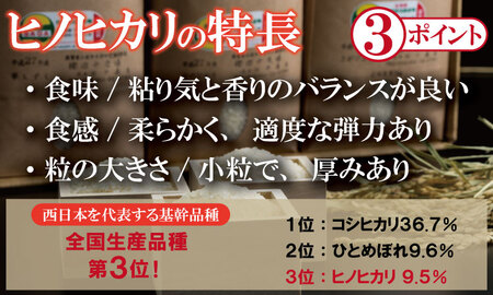R７年度産（令和７年）特別栽培米 佐賀ブランド 米「 ヒノヒカリ 」10kg（5kg×2袋）田中農場 精米 白米 C230-012