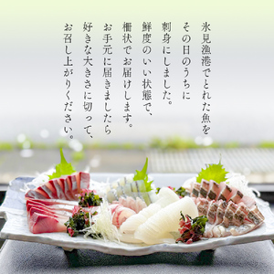 【冷蔵】氷見の海鮮 お刺身詰め合わせ 5種（サク）4,5人前　刺身