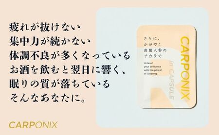黒高麗人参「CARPONIX」　＜ご自宅用エコパック＞ 60粒入り×2袋　＜個包装＞ 4粒入り×30袋 【定期便 6ヶ月】 サプリメント サプリ 黒高麗人参 カプセル ジンセノサイド 千葉市