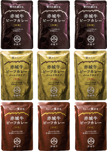 【赤城牛 ビーフカレー】三種食べ比べ（計9個） 昭和・平成・令和のビーフカレー カレー レトルト