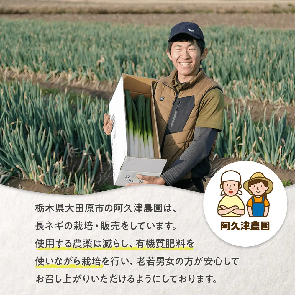 与一ねぎ 2Lサイズ（27本） ｜野菜 ネギ 農家直送 産地直送 産直 大田原ブランド 栃木県 大田原市