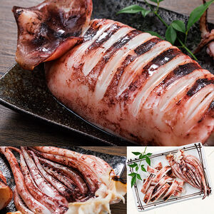 ＜訳あり＞ いかの一夜干し (計10尾) 魚介 いか イカ 烏賊 一夜干し 冷凍 おつまみ つまみ スルメイカ するめいか するめ 国産 小分け 【opar003】【磯武】