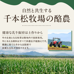 【千本松牧場】96撰 5個セット 【TVで紹介されました！】 ns025-021-05