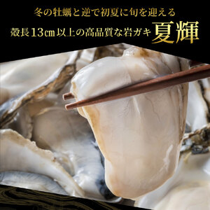 OM-28　岩牡蠣「夏輝」(約2kg)