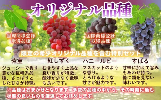 【2026年7月上旬～順次発送】ぶどう詰め合わせ ここにしかないオリジナル品種 おまかせ詰め合わせ 皮ごと食べられるぶどう1種＋オリジナル2種合計約1.8㎏ 中村オリジナルぶどう園 ※発送前のご連絡についてご注意ください 希少 オリジナル品種 おまかせ ぶどう 葡萄 ブドウ グレープ フルーツ 果物 くだもの 果汁 こだわり 大阪 河内長野 長野 厳選