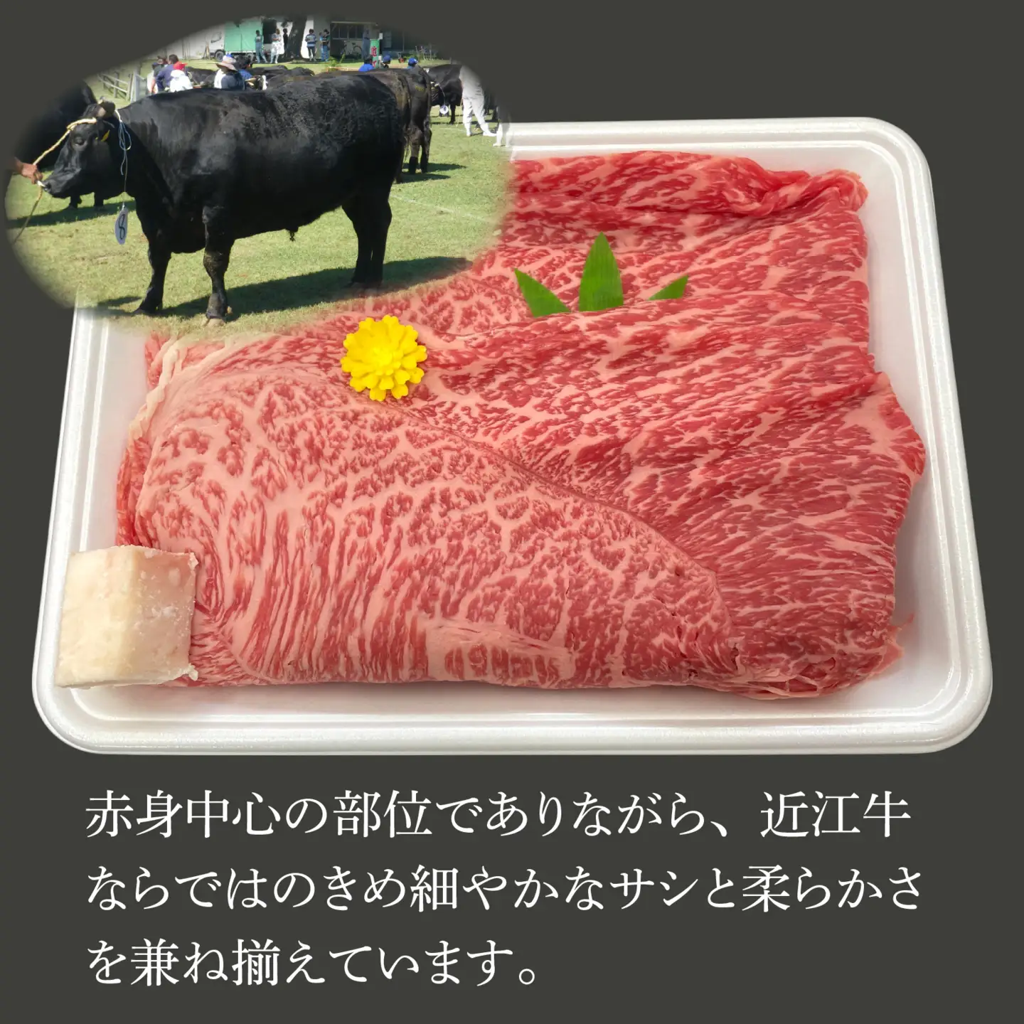 近江牛ももスライス 400g[T008] / 近江牛 和牛 牛肉 モモ スライス 400g すき焼き しゃぶしゃぶ 肉じゃが 野菜炒め 国産 滋賀県 大津市 霜降り