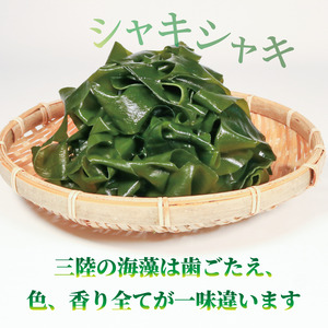 三陸 大船渡産 海藻 味わいつくしセットB (わかめ300g、昆布300g、茎わかめ200g、きざみ昆布200g) 各1袋 計1kg