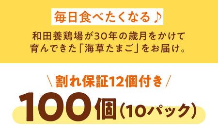平飼い 卵（10パック）たまご 100個[AGDQ004]