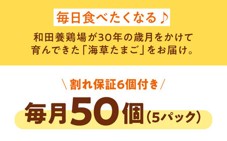 たまご 定期便【6ケ月】（5パック）たまご 50個[AGDQ009]