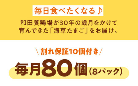 卵 定期便【12回】（8パック）卵 80個[AGDQ013]