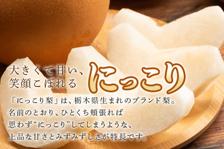 【数量限定・先行予約】 梨 にっこり 3kg 3L～6L 5～8玉 なし ナシ 果物 フルーツ 国産 【9月20日以降発送予定】 70-N