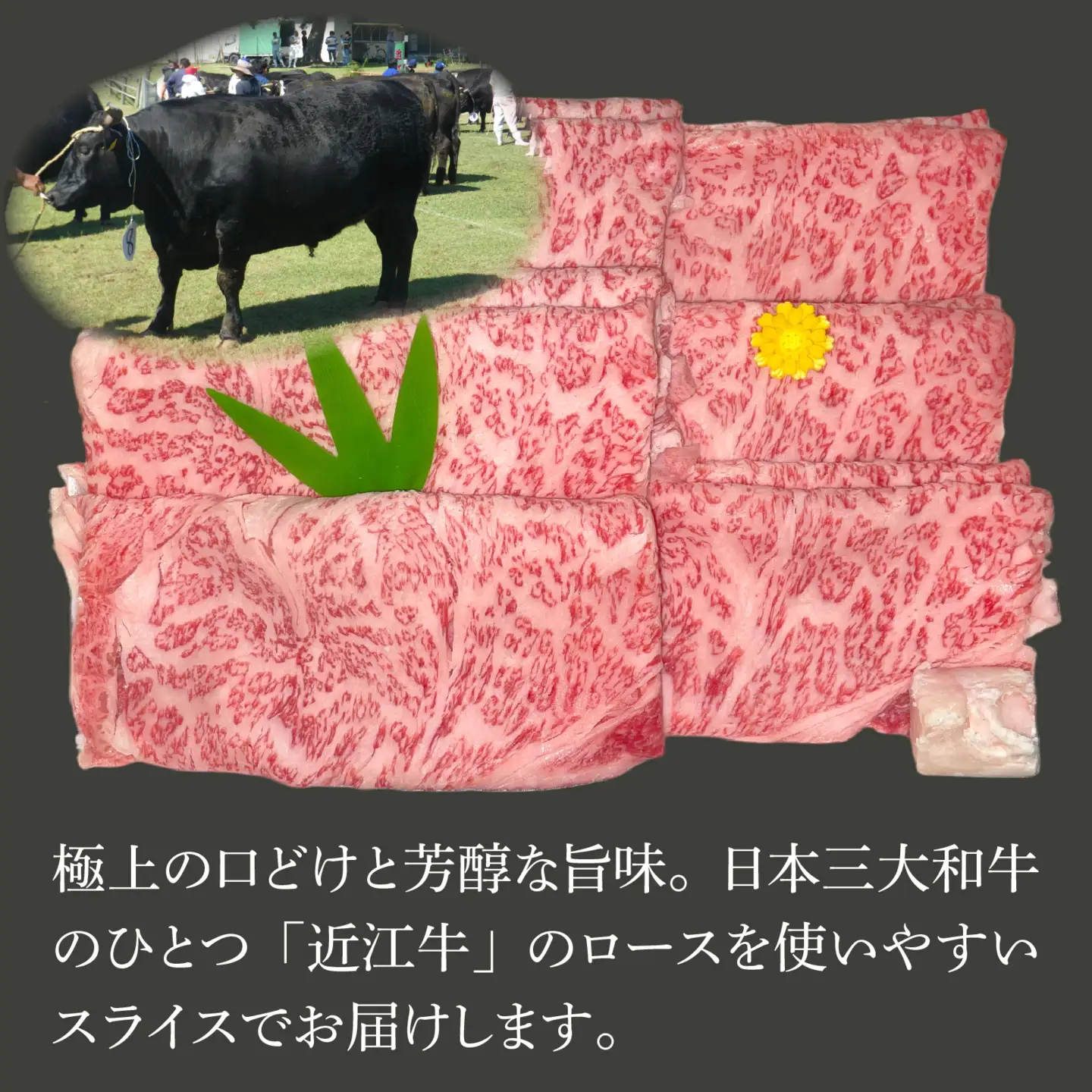 近江牛〔A5〕ローススライス 400g[T012] / 近江牛 和牛 牛肉 ロース スライス やきしゃぶ しゃぶしゃぶ すきやき すき焼き 400g 国産 人気 鍋 滋賀県 大津市 赤身 霜降り